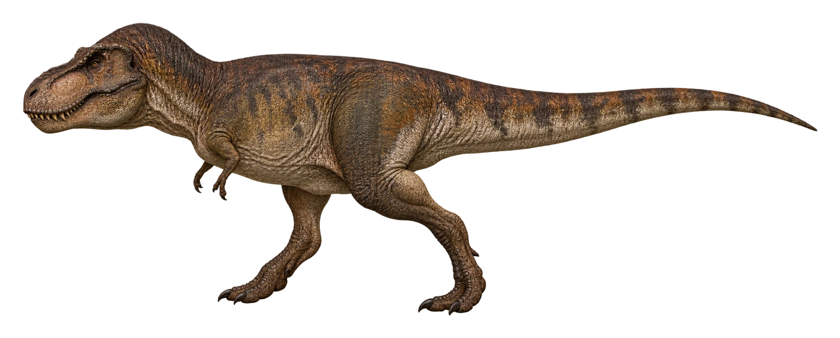 AI-generated reconstruction of Tyrannosaurus rex